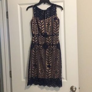 Gianni Bini Navy and Creme lace cocktail dress